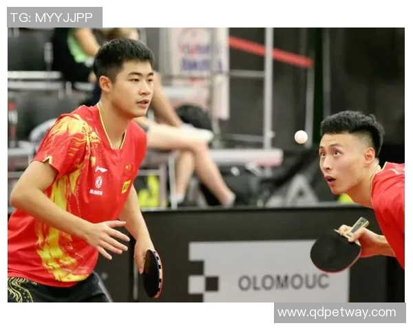 伊朗男篮与中华台北蓝队激战正酣谁能在亚洲赛场上笑到最后