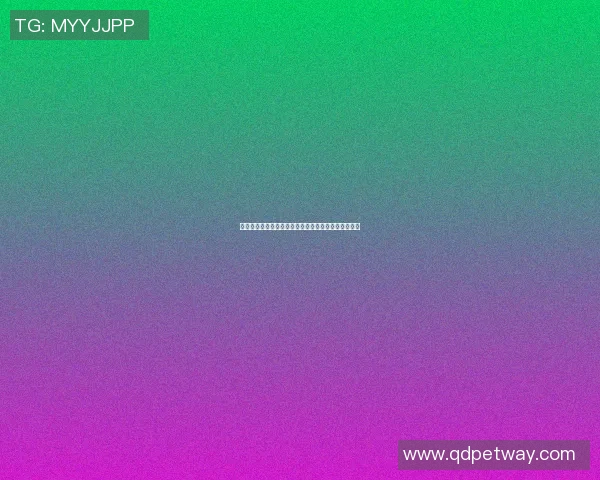 张帅与麦克哈尔激战正酣谁将赢得这场精彩对决的胜利